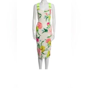 NWT  Ted Baker dress.